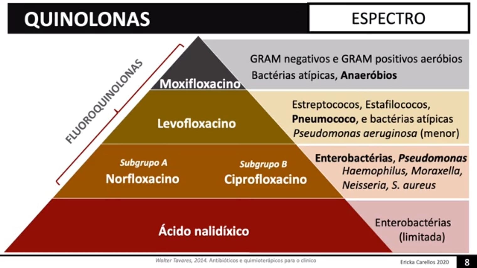 Espectro Quinolonas Enem   Espectro Quinolonas 